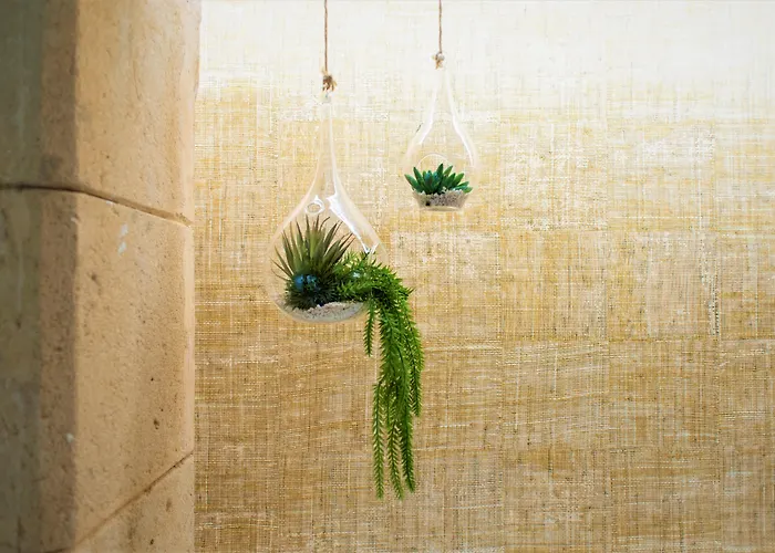 Seasun Aniram Otel Playa de Palma (Mallorca)